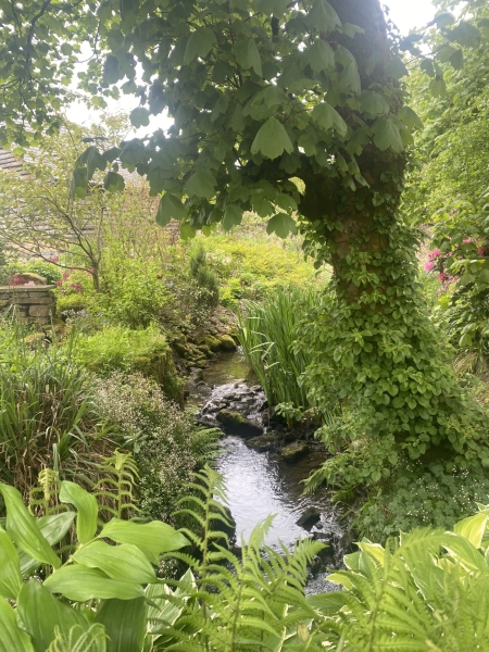 Higher Bridge Clough House